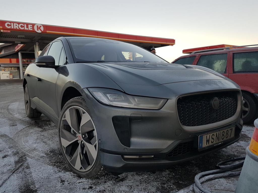 Jaguar i Hudik.jpg