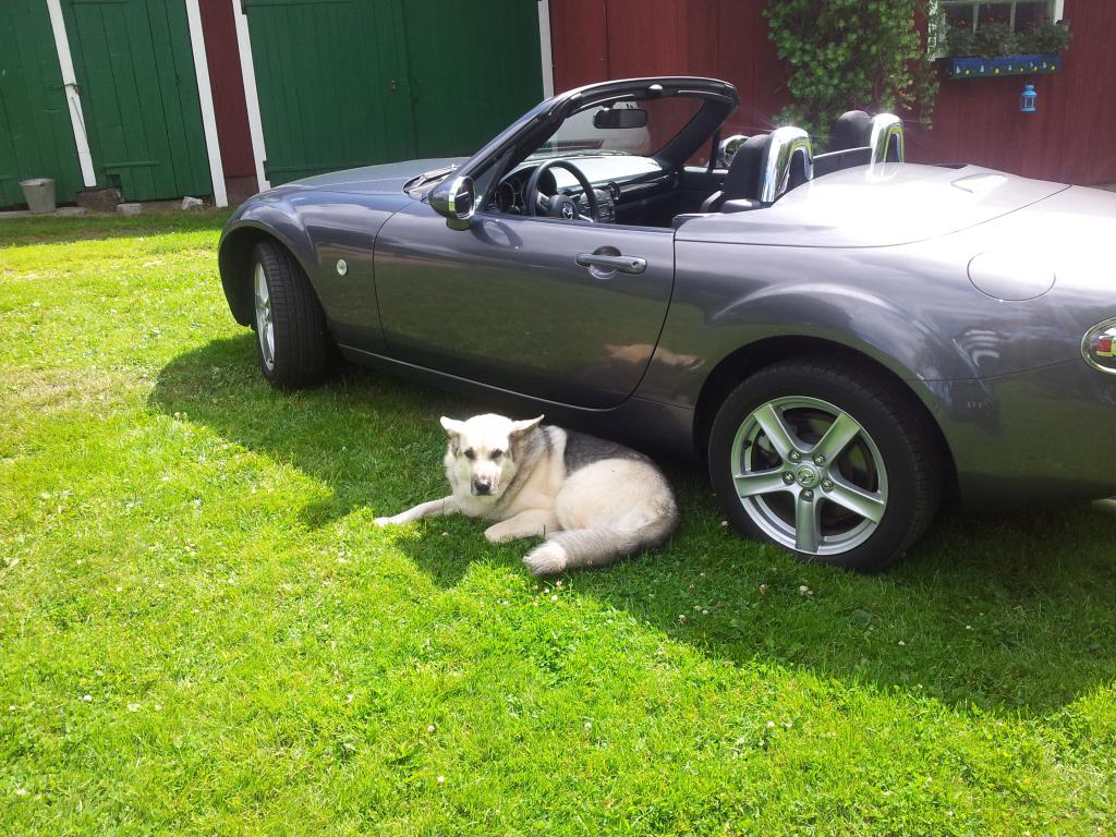 20130716_124307.jpg