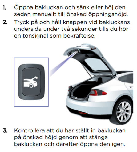 trunk.png