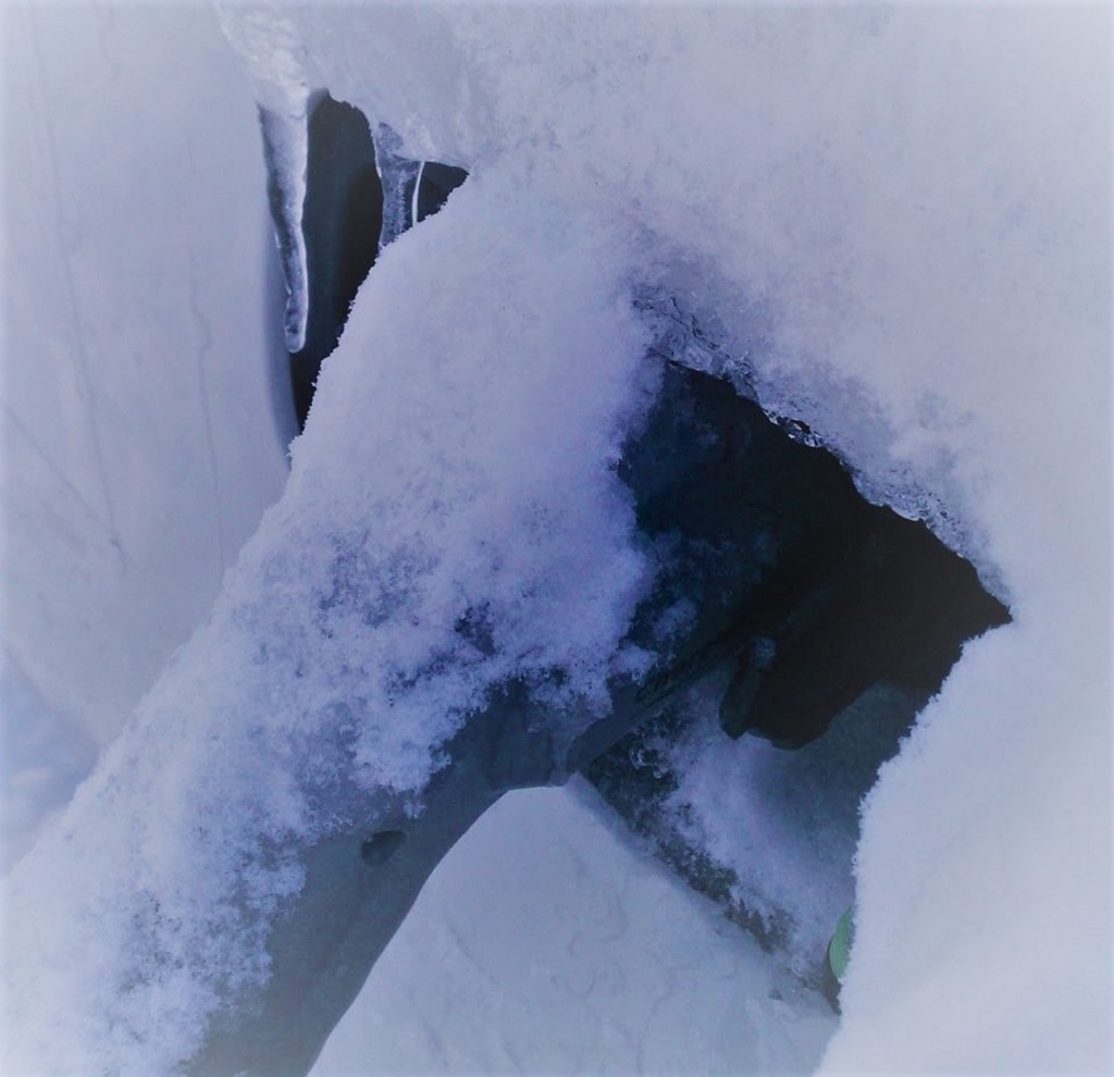 03C2AE2C-DC3B-4944-8095-A0AB38DBB0FF.jpeg