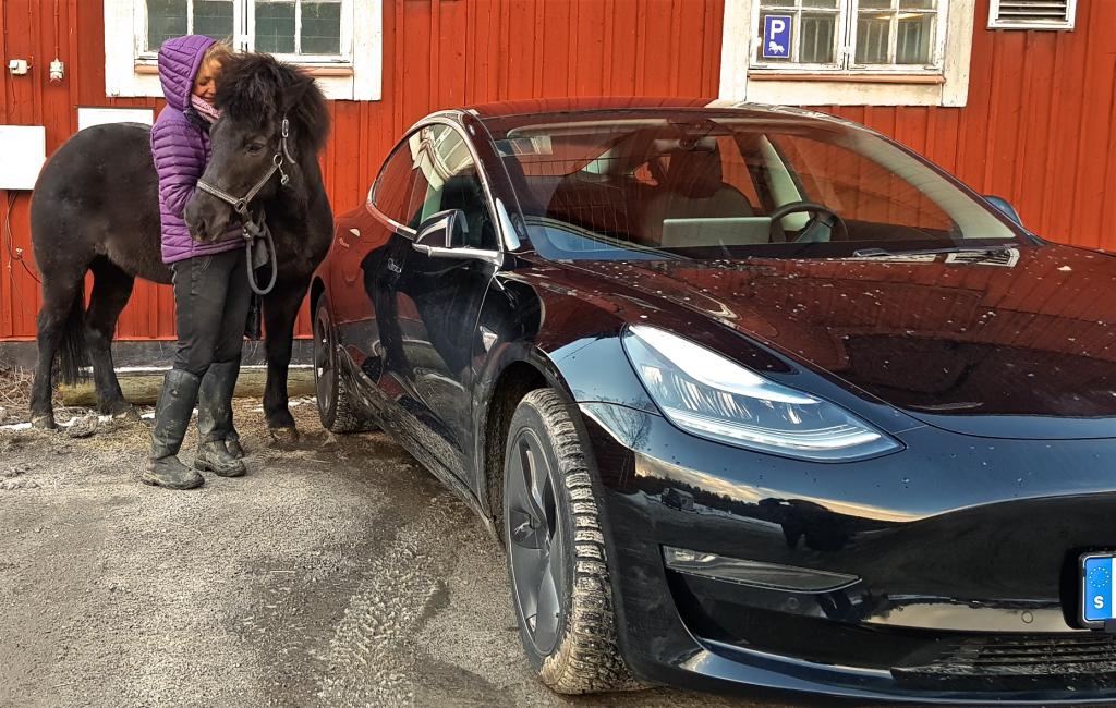 20190305_155927 - version 2.jpg