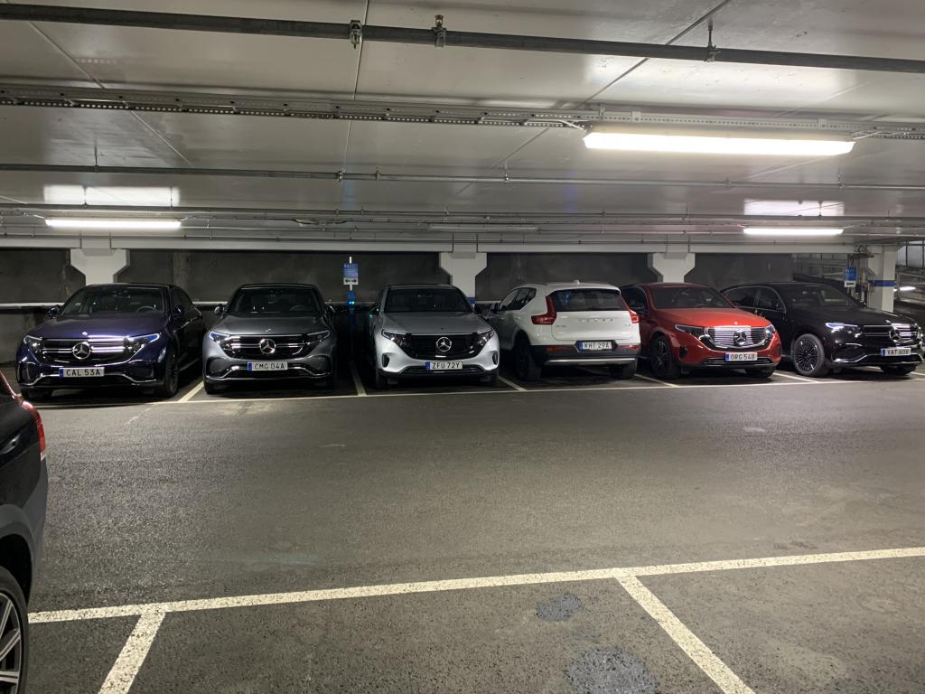 IMG_8909.jpeg