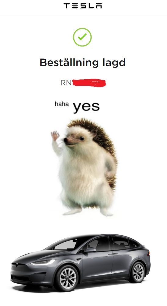 yes.jpg
