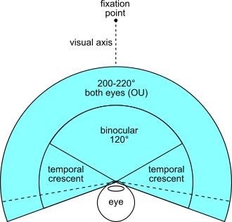 330px-FOV_both_eyes.svg.png