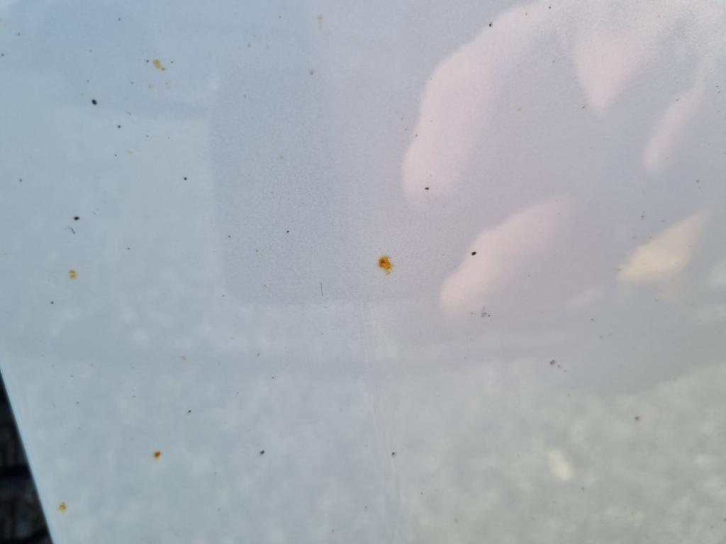 20220312_124919.jpg