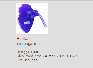 Bjelke 1000.PNG