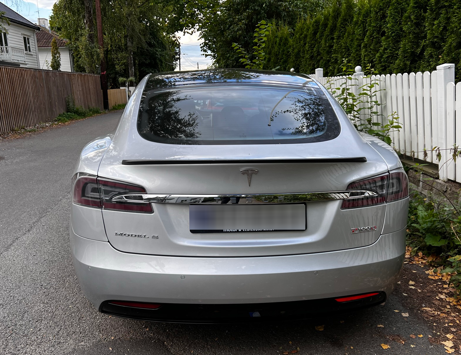 Tesla_back_blur (1).png
