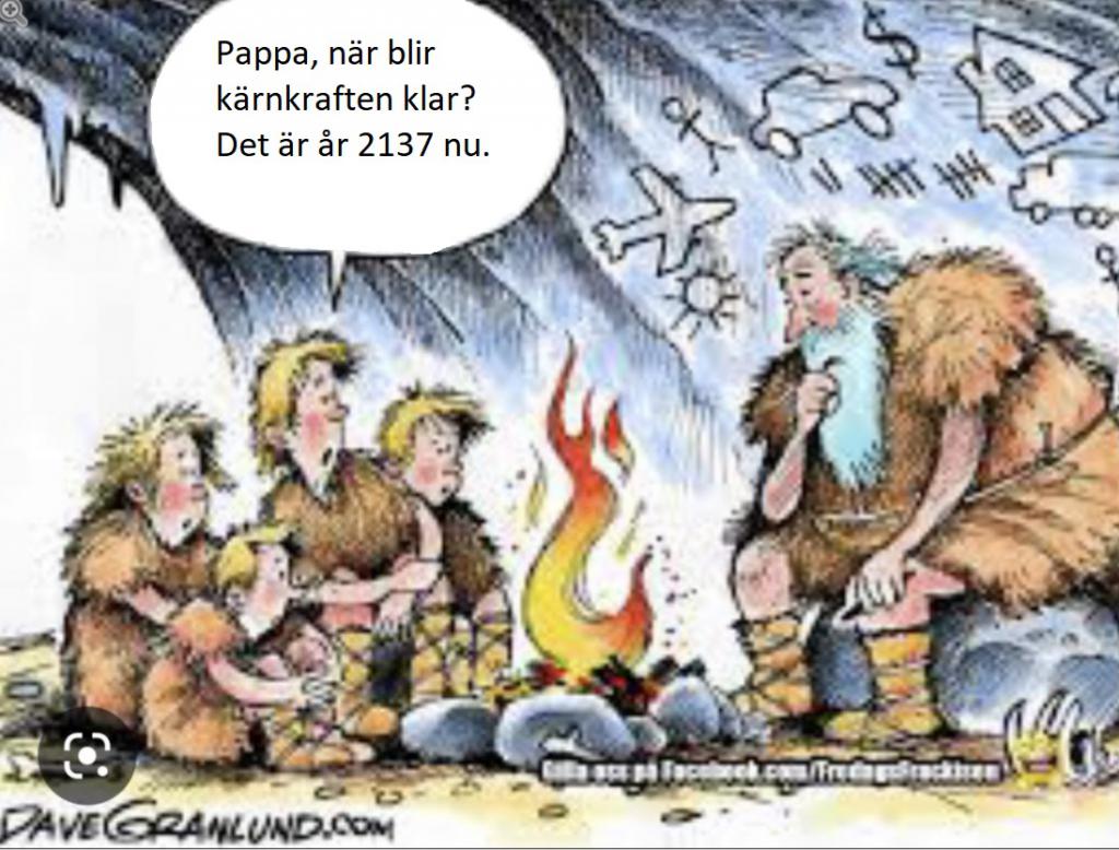 Dyr kärnkraft.jpg