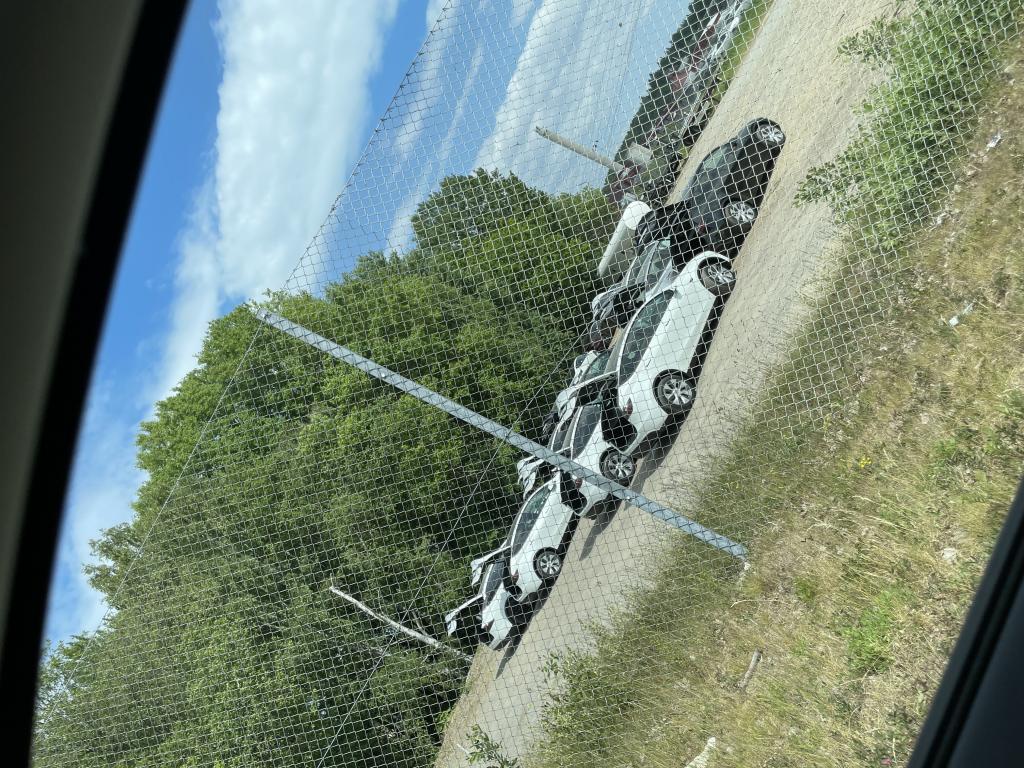 IMG_2968.jpeg