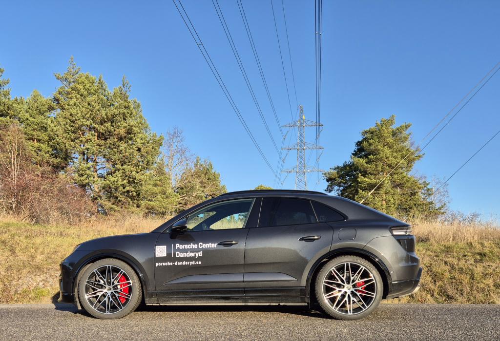 Macan_1.jpg