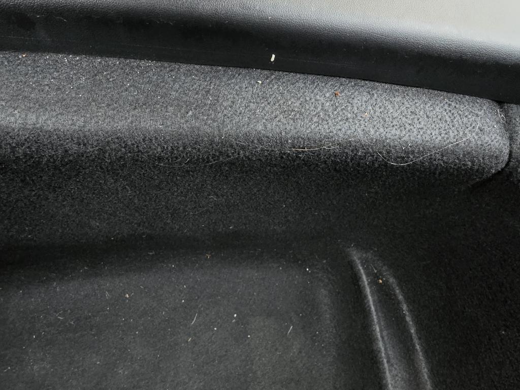 20241221_100021.jpg