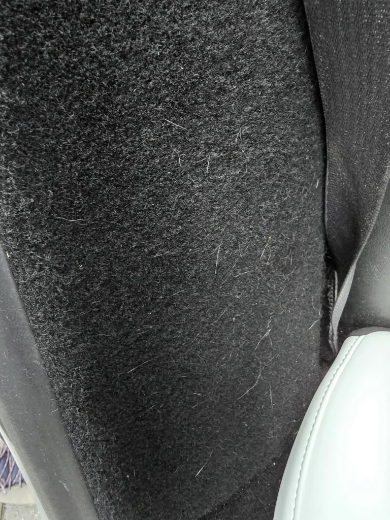 20241221_094920.jpg
