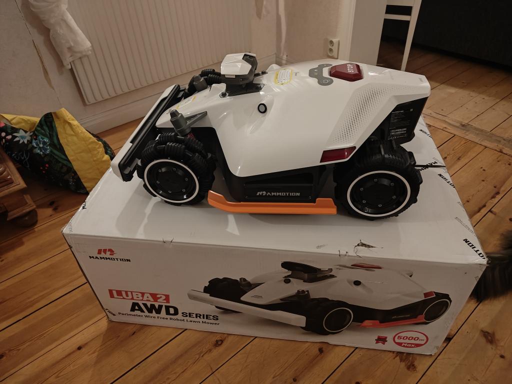 IMG20250225214150.jpg