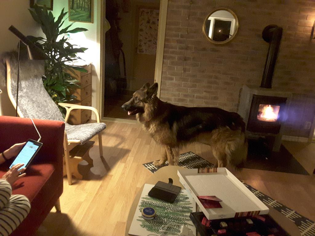 20171225_212116.jpg