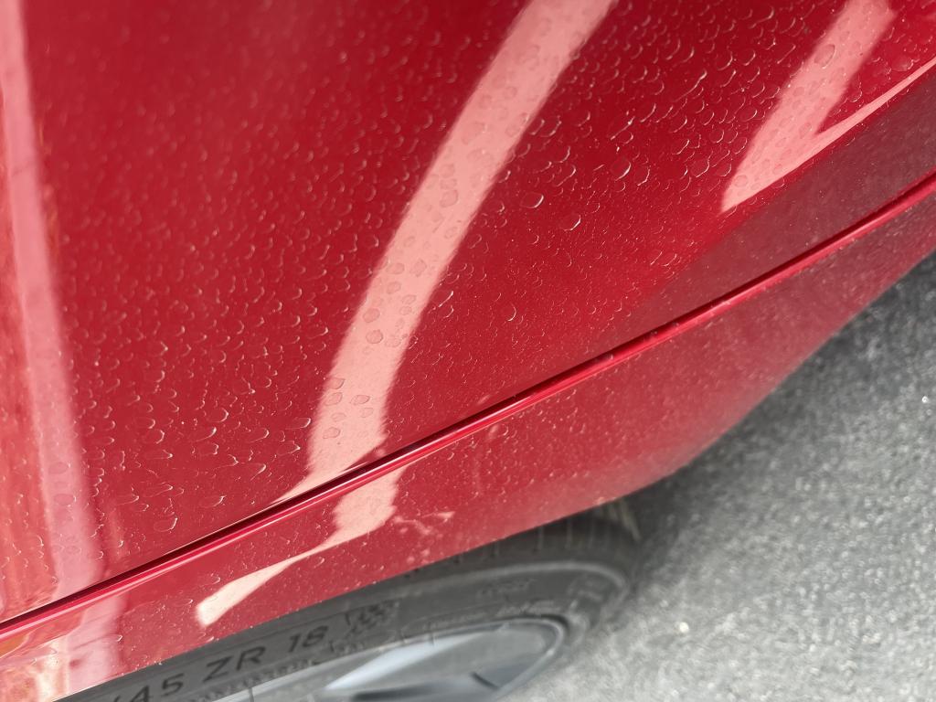 Bakdörr något innanför hundbenet