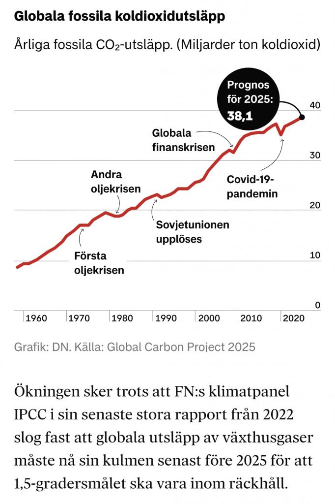 Screenshot_20251114_153230_Dagens Nyheter.jpg